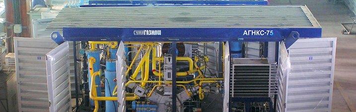 Модельный ряд Агнкс